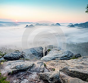 Calm misty morning. Landscape within daybreak after rainy night