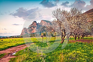 Paz manana de floreciente almendras jardín sobre el capa. impresionante primavera escena de Sicilia municipio ubicación, 