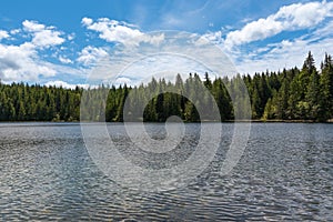 Calm mountain lake with a deep green forest on the background