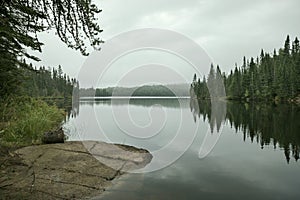 Calm northern Minnesota lake with pines along the shore on a foggy overcast morning in September