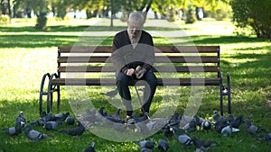 Calm old man sitting on bench in park and feeding pigeons, loneliness in old age photo