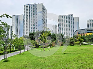 Calm and peaceful park surrounded by high rise apartment building in new town