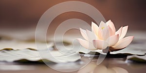 Calm and peaceful scene of a lotus flower in the water, Concept for balance of mind, body and soul, AI generated