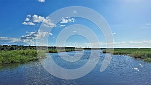 Calm, peaceful summer landscape. The blue river flows between green grassy banks