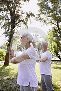 Calm pensioners meditating together stock photo