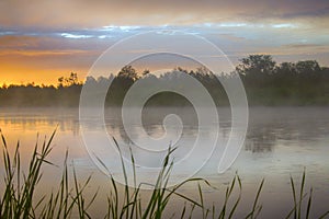 Calm, pleasant warm summer rain and mist over river