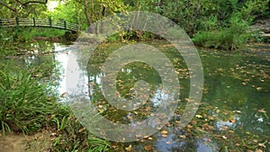 Calm pond with bridge