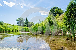 Calm pond with reeds surrounded by meadows and trees on a summer sunny day. Slow village life