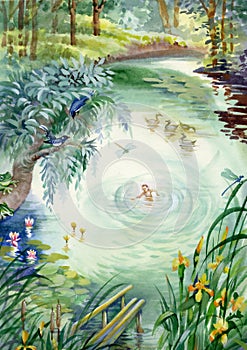 Calm pond scene