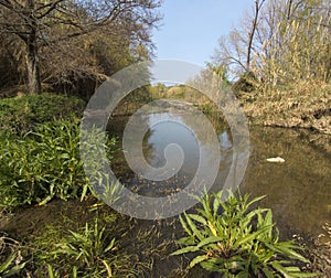 Calm pool of the Congost river