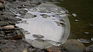 Calm pool of water with rocks and pebbles