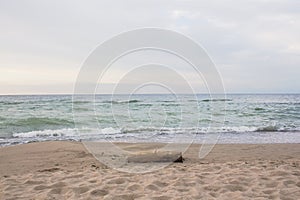 Calm relaxing landscape Sky and Baltic Sea Curonian Spit National Park