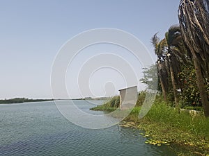 Calm river alongwith coco tree