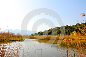 Paz un rio en otono 