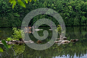 On the calm river Eramosa in Rockwood Park