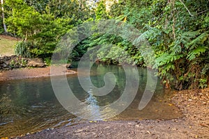 A calm river flowing into the tropical rainforest in tropical Queensland