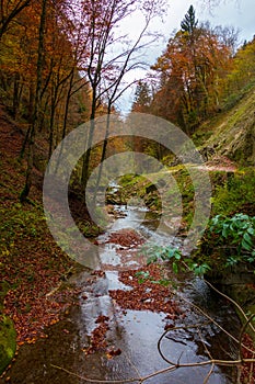 The calm river flows in a beautiful autumn forest