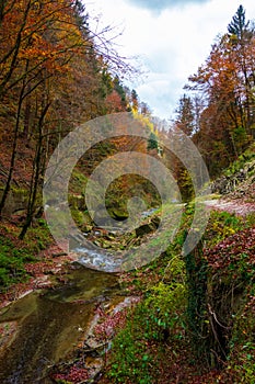 The calm river flows in a beautiful autumn forest photo