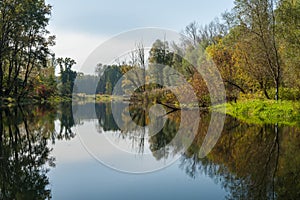 Calm river and reflecting colorful trees in autumn