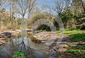 The calm of a river between the vegetation photo