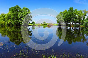 Calm river water and green trees as abstract gate