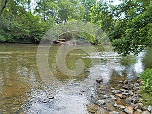 Rocks and Riffles along the Dan River photo