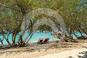 Calm romantic seascape of paradise beach. Sunbeds on tropical sandy shore