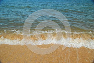 Calm sea surf at the shell sand beach. Background.