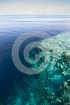 Calm Seas and Coral Reef Dropoff