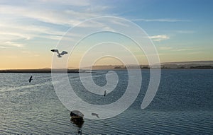 Calm seascape at sunset, of the mouth of the Imperial River. Chili