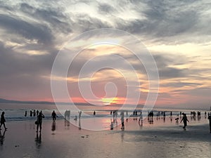 Calm and aromic seashore at sunset