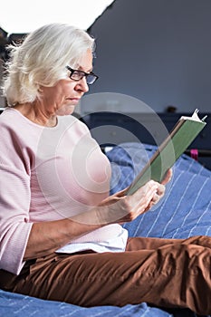 Calm senior woman reading a book while sitting in the living room