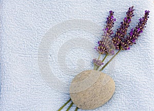 Calm spa concept with lavender