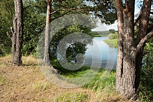 calm summer landscape on the banks