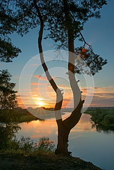 calm summer landscape on the banks of the Berezina River