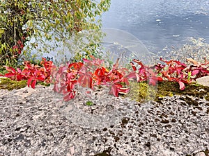 Calm on the surface of Lake Birini with colorful reflections on sunny autumn day