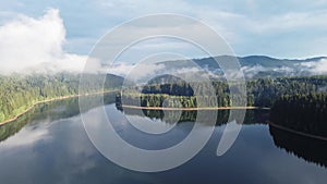 Calm surface of the lake reflects the surrounding scenery made up of trees and impermeable fog that brings moisture to the area. 4