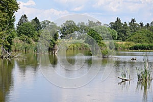 Calm Swamp Lake in Nature Reserve Thürer Wiesen