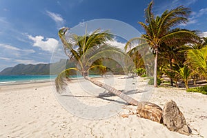 Calm Tropical Beach on a Con Dao Island in Vietnam