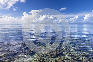 Calm tropical sea over coral reef