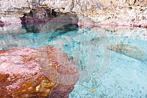 Calm turquoise colored water in pool in limestone cave on coast