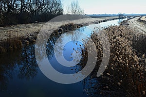 Calm water of Black Water Cierna Voda river in Galanta district, western Slovakia, during frosty winter season.