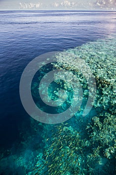 Calm Water and Coral Reef Dropoff photo