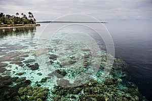 Calm Water and Fringing Reef in Tropical Pacific
