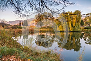 Calm water of garden pond at sunset reflecting surrounding trees, grasses, and mountains.