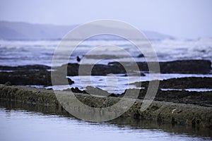 Calm Water In A Manmade Tide Pool With Rocks And Waves Defocused Background