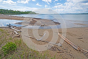 Calm Waters and Driftwood on a Sandy Shore