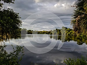 Calm Waters of the Myakka River