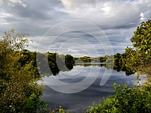 Calm Waters of the Myakka River