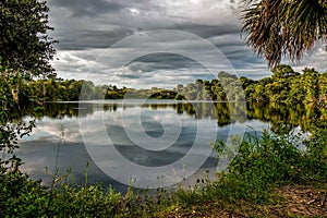 Calm Waters of the Myakka River